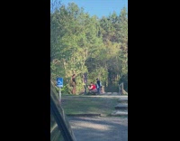 Girl checkered suit skirt wildlife park trees