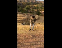 lady tree pose desert
