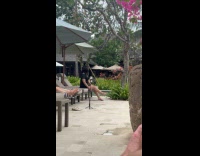 Collab IITW - Woman beach black dress poses at the pool