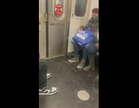 Pigeon bird gets off subway train nyc