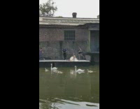 Woman ballerina white tutu dress swan lake