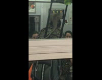 Man walks down train aisle with snake around neck, iguana on head, and green bird on backpack handle