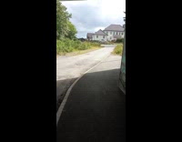 Cat runs at woman on sidewalk 