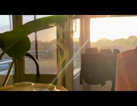 Boiled hot water smoke colored by the sunlight