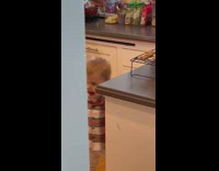 Baby steals cookie off rack and runs away 