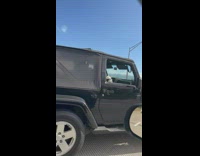 Driving past a white dog enjoying air out the window