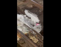 Ice formed on train tracks water drip