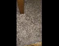 Woman reacts to spot on carpet 