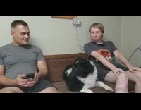 Dog howl sing to song from phone