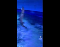 Collab BitchMP - Girl has home aquarium pet shark thinks its a dolphin 