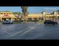 Guy cuts rotting old tree parking lot