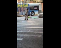Dalmatian dog mascot costume dance on street