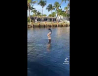 Collab BitchIG2 - Guy jumps onto board in water hydrofoil 