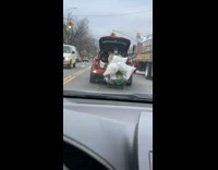 Guy sits in trunk of red SUV 