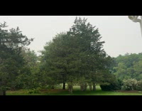 Man films Canada wildfire smoke in Connecticut 