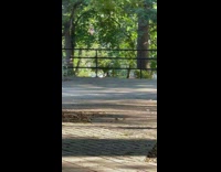 collab winy - Bunch of people seen warming up at park 