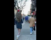 Person carries large grey taxidermy animal outside 