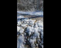 Man shows snow crystals formed on the ground
