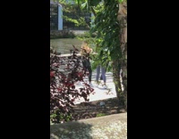 Two girls arms up black sports bra