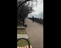 woman blue sweater dance river