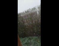 Person film snow falling outside window during march