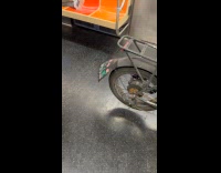 Collab Subway Creatures - Man put feet up on  train seats