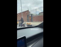 Man drives bike pulls dog on wagon