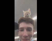 Cat sitting chilling on guys head happy 