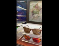 Sunglasses reveals hidden parrot on picture frame
