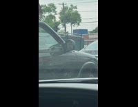 Bird ride inside pickup truck beside filmer