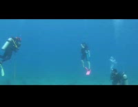 Mysterious and fast object swims in the background