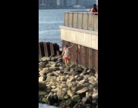 Woman walks on East River shore rocks