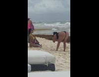 Woman yellow bikini sit beach chucky doll