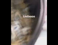 Guy pokes live crabs inside container and gets snapped at