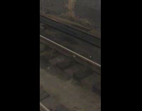 Rat carries white paper under train track