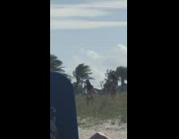 Beach photoshoot pt. 2