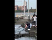 Mannequin catch shark for a video shoot part 2