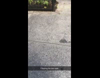 Man in suit opens driver door and clips toenails on the street