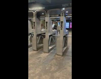 Large zebra plush carried into subway train