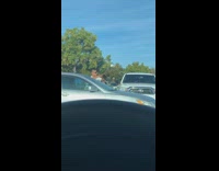 Guy sunglasses takes pictures with car