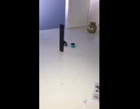 Juul gets kicked out of house, takes pods and jumps off bridge