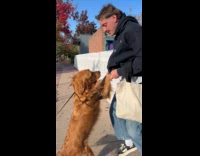 Man walks away like nothing happened after petting dog 