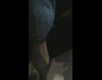 Grey cat on lap hugs girls arm 