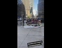 Swarm of bees on hat street store 