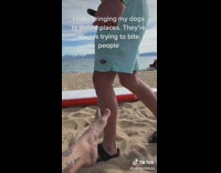 Guy hates bringing dogs in public 