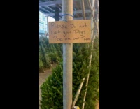 Sign asking not let dogs pee on Christmas trees 
