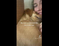 Dog fakes severity of eye injury to play outside 