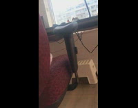 Cat on red chair licks grooms paw 