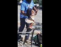 Blue shirt guy makes puppet doll dance 