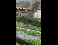 Girl white jacket hold hair garden flowers